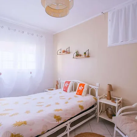 度假居 Charmante Maison A Avec Jardin, Terrasse, Pour 6 Pers. - Classee 1 Etoile - Fr-1-877-45 *